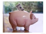 fat-piggy-bank-web